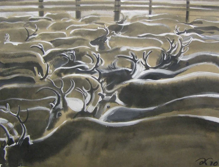 Море оленей. 2011. б., тушь, белила. 38х58